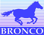 Bronco Model